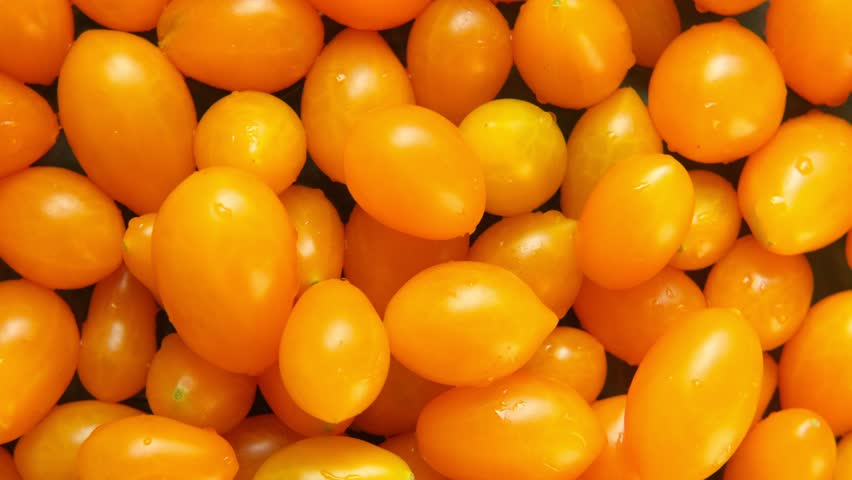 Yellow pear tomato background. Vegetable market, agriculture organic farm. Fresh wet teardrop tomatoes spinning close up. Nutrition, vegan food. Healthy eating ingredient. Rotating top view closeup 4K