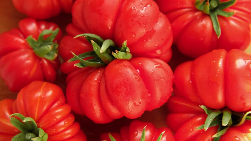 Delicious red tomato background. Vegetable market, agriculture organic farm. Fresh wet tomatoes spinning close up. Nutrition, diet, vegan food. Healthy eating ingredient. Rotating top view closeup 4K