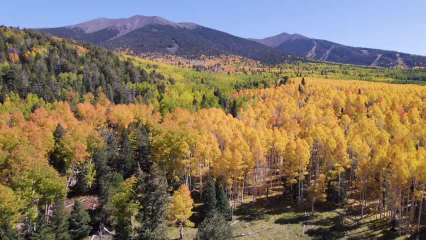 Autumn colors on the slopes of the San Francisco peaks