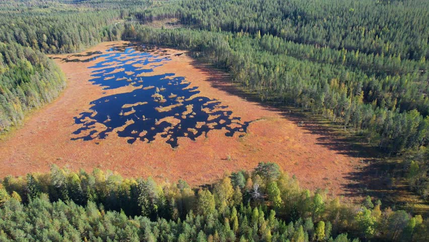 Bog with lakes Scenic landscape Drone 4K