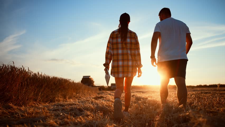 Teamwork concept. Silhouette two farmers walking in a gold wheat field against sunset. Team farmers stand in a field on the background of agricultural machinery. Agronomists discuss harvest. Royalty-Free Stock Footage #1109471909