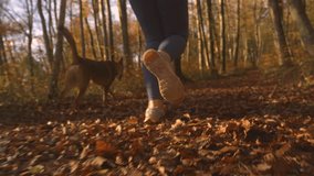 CLOSE UP, SLOW MOTION, LOW ANGLE VIEW Woman running with her dog in autumn woods. Unrecognizable sporty lady and doggo are at morning run along leafy path through forest glowing in golden autumn light - Powered by Shutterstock - Get 15% off with code: PIKWIZARD15
