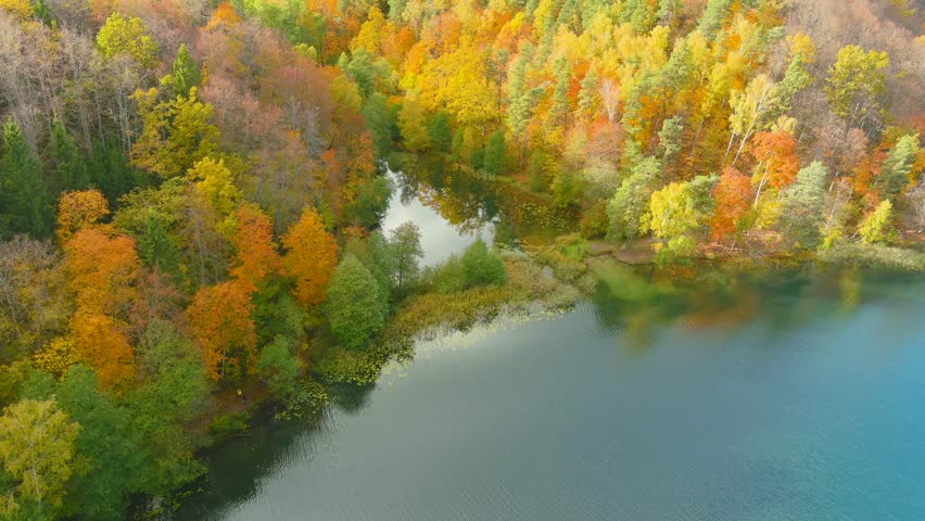 Aerial autumn view of beautiful Balsys lake, one of six Green Lakes, located in Verkiai Regional Park. Birds eye view of scenic emerald lake surrounded by forest. Vilnius city, Lithuania. Royalty-Free Stock Footage #1109482551
