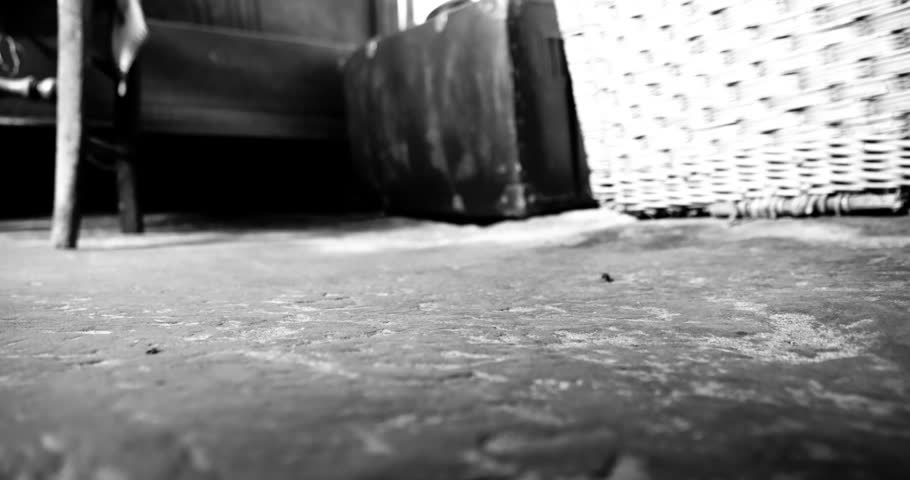 Black and white footage of a troglodyte rock house's stone floor plays host to a cockroach, while vintage furniture and a leather voyage luggage piece evoke a sense of history in the background