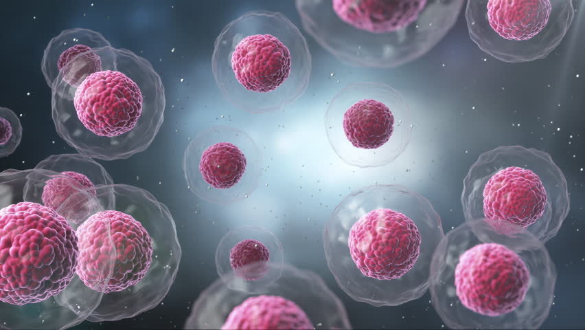 Human cell or Embryonic stem cell microscope background.