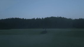 Lone Tree Half Orbit in a Misty Dawn - Powered by Shutterstock - Get 15% off with code: PIKWIZARD15