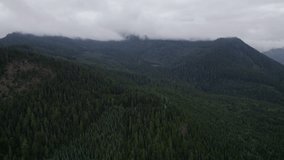 Aerial view of Gifford Pinchot National Forest, Washington.