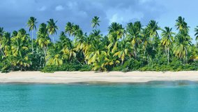 Caribbean sea and palm grove against a blue sky with large clouds. Seascape view from the beach. Rest and vacation concept. Holidays holidays on the sunny tropical coast. Sea trip. The video is tinted