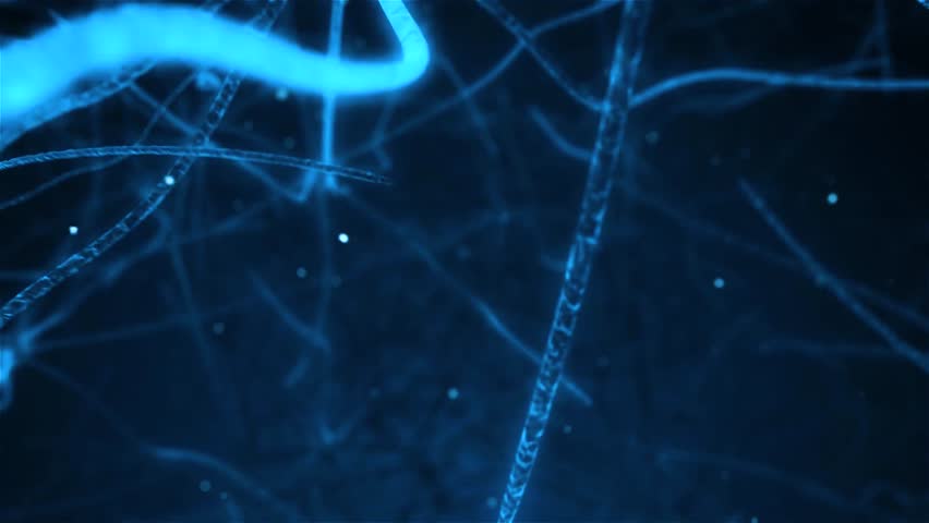 Human brain nerve cells (neurons). Animation of neuronal firing via electrical signals and neurotransmitters.  Royalty-Free Stock Footage #1109535169