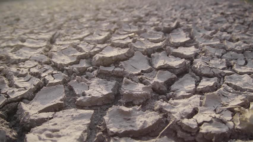 Dry soil with cracks caused by lack of water, dry landscape with crack pattern Royalty-Free Stock Footage #1109540503