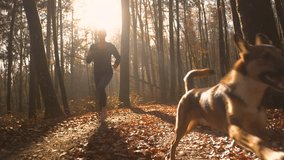 LENS FLARE, PORTRAIT Smiling woman runs in autumn forest with her adorable dog. They are running along leaf covered path under tall deciduous trees in golden morning light. Sunny day for outdoor sport - Powered by Shutterstock - Get 15% off with code: PIKWIZARD15