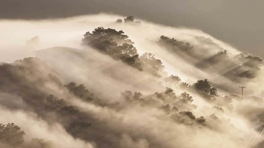 Beautiful nature background with thick foggy clouds floating between tree tops Royalty-Free Stock Footage #1109569993
