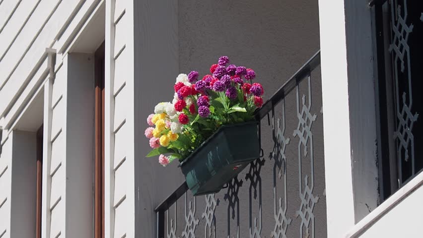 Flowering plants. Blooming flowers on balcony of a house 