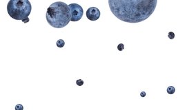 Blueberries Falling On White Background