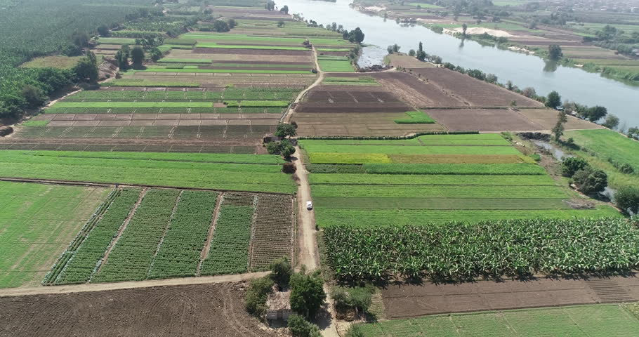 Aerial shot for The River Nile of Egypt in Cairo surrounded by the green lands of the Nile Valley