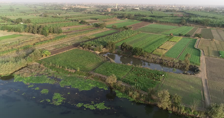 Aerial shot for The River Nile of Egypt in Cairo surrounded by the green lands of the Nile Valley beside Giza and Delta of North Egypt