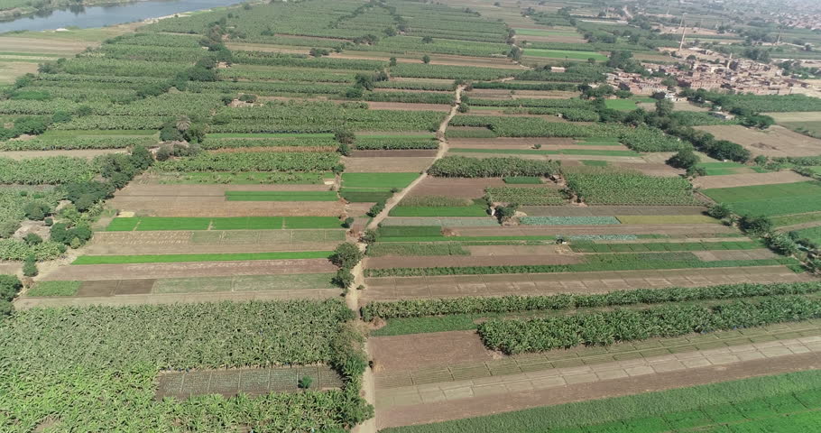 Aerial shot for The River Nile of Egypt in Cairo surrounded by the green lands of the Nile Valley