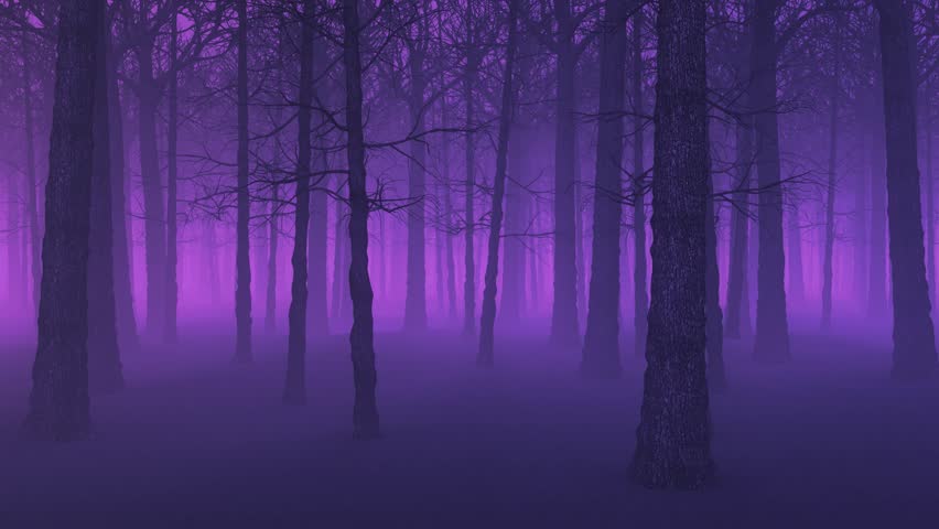 3D animation - Halloween background of a purple foggy forest at night with parallax style looped camera movement | Shutterstock HD Video #1109581817
