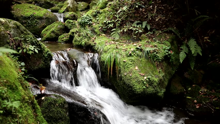Moss Valley Water Sound, Nature Korea