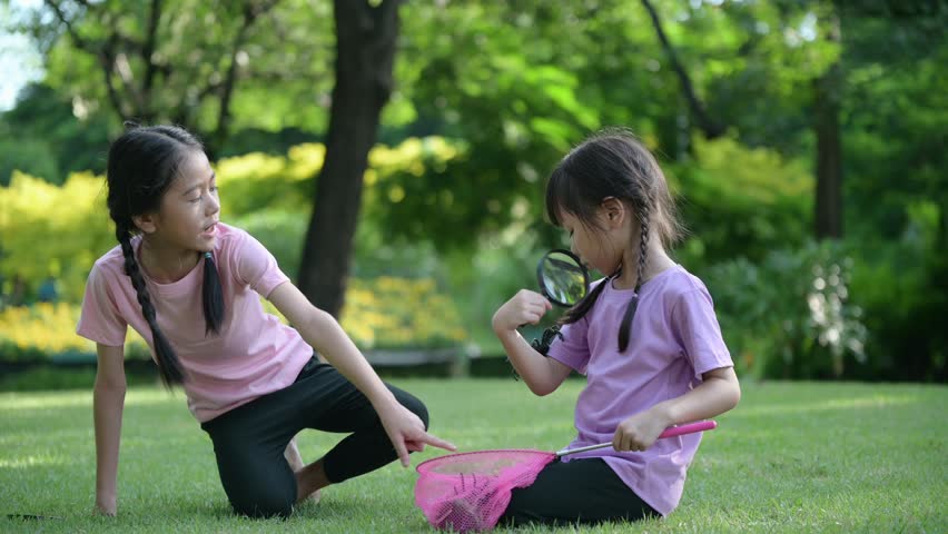 Happy Asian family children having fun and catches a net of insects in the park, summer vacation concept