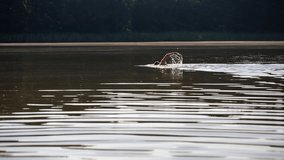 Man swimming in lake. RAW video