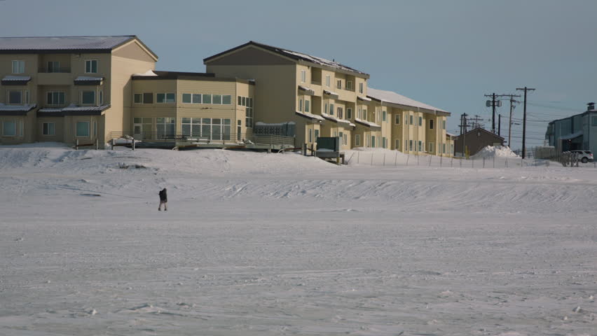 Man walking across frozen lake next to housing at Utqiagvik Barrow Alaska North Slope in the Arctic