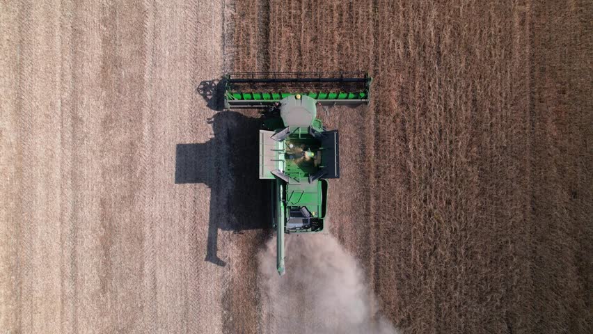 Combine harvests soybeans in the field. aerial top view.