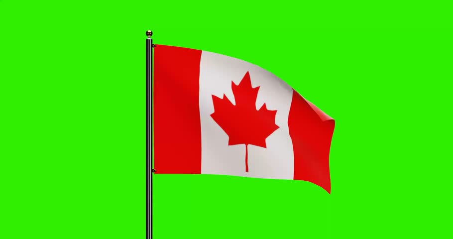 3D Rendered Canada National Flag Waving Animation with Realistic Wind Motion, National flag of Canada with seamless loop animation, 4k Resolution with Green Screen Background