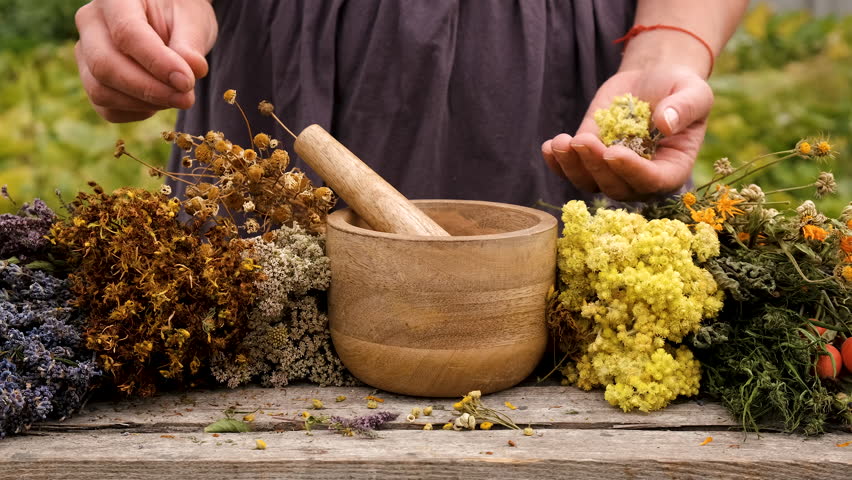 Woman and herbs and dried flowers alternative medicine and medicinal tea. Selective focus.