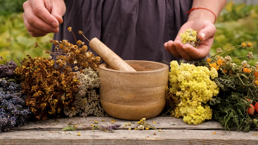 Woman and herbs and dried flowers alternative medicine and medicinal tea. Selective focus. Royalty-Free Stock Footage #1109619677