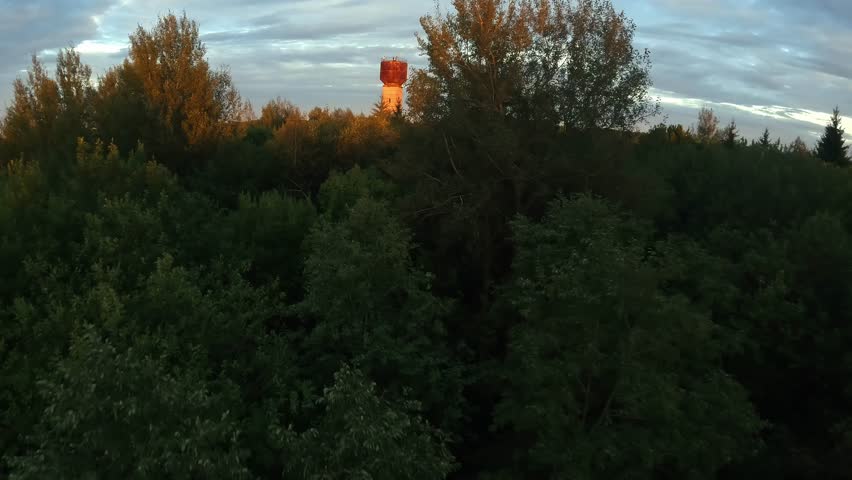 autumn forest, at sunset, shooting from a drone, nature forest mokushki direvyev