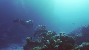 Scuba diver swims in the deep over coral garden, Slow motion, Backlighting (Contre-jour), Back view