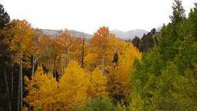 Fall Landscapes in Southern Colorado, America, USA.