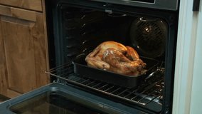 Roasting chicken turkey in oven tasty Fresh meat. Cooking recipes Thanksgiving food and christmas