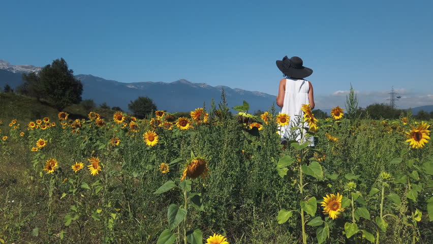Attractive woman walking and enjoying with sunflower field