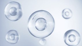 Cell division or cell connection, microscopic of Human cells, 3d Animation - Powered by Shutterstock - Get 15% off with code: PIKWIZARD15