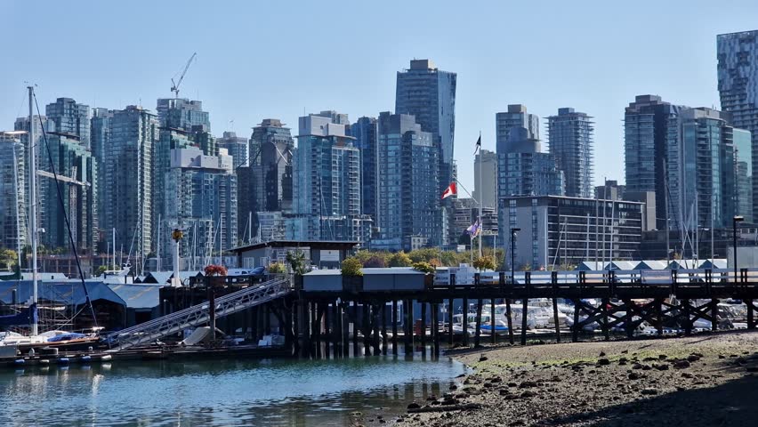 A long shot of the Canadian flag flying in the city park during the daytime with the skyscrapers in the background, Vancouver, British Columbia, Canada.