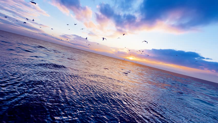 A flock of seagulls flying freely on the sea Royalty-Free Stock Footage #1109659245