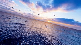 A flock of seagulls flying freely on the sea - Powered by Shutterstock - Get 15% off with code: PIKWIZARD15