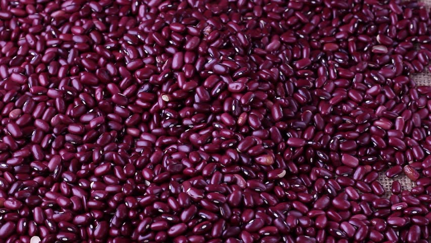 Raw red kidney bean seed grains separated with bamboo spoon. Top view