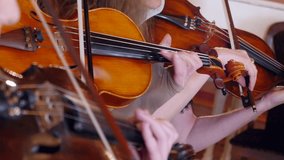 Closeup of trio female musicians playing violins and viola