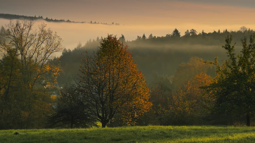 Gorgeous misty rural landscape with beautiful trees in amazing warm light of an autumn morning, panning footage
 | Shutterstock HD Video #1109663455