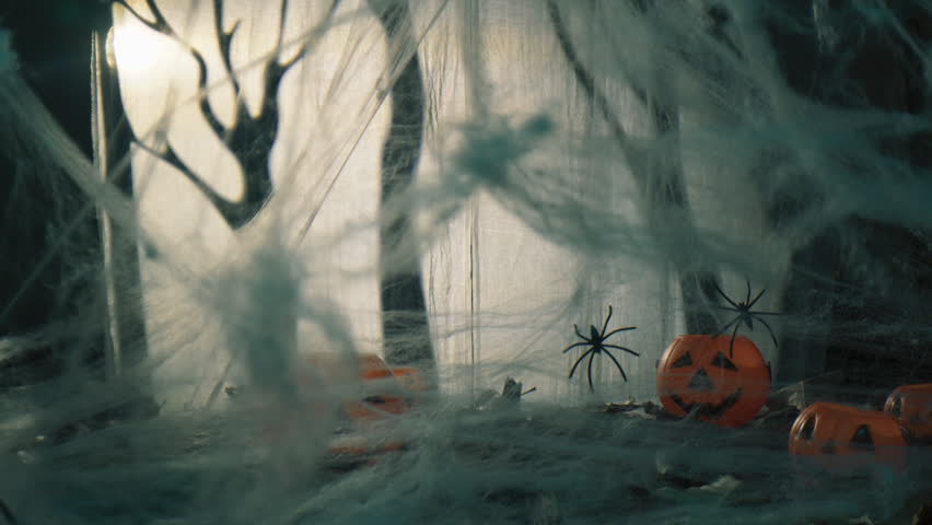 Big Scary Spider Going Down For Halloween Holiday