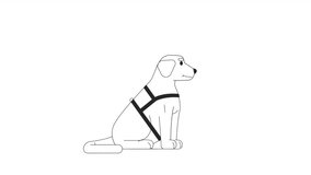Guide dog labrador head up bw 2D character animation. Sitting puppy cute outline cartoon 4K video, alpha channel. Pet retriever. Dog assisted therapy animated animal isolated on white background - Powered by Shutterstock - Get 15% off with code: PIKWIZARD15