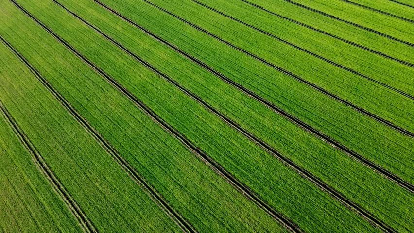 Spring Crop Field Aerial View Agriculture Farmland