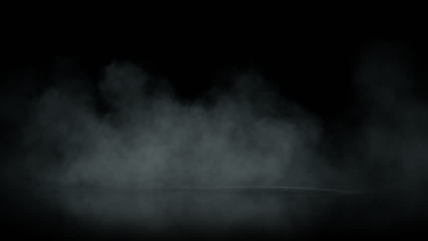 Shutterstock Video