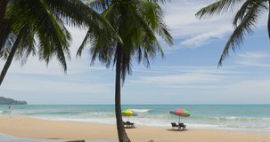 DCI 4K ProRes 422 Beach sea video Coconut tree on beach sea Phuket Thailand 