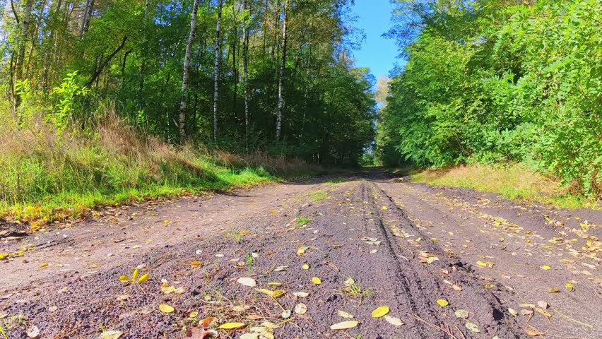 An elderly man riding a small bicycle through the forest.