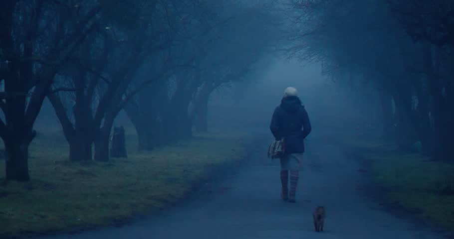 Rear view of a woman in a warm jacket, hat and with a bag walking into the distance with a cat along a foggy autumn alley of trees without leaves with overhanging branches Royalty-Free Stock Footage #1109690145