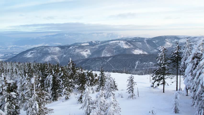 Winter landscape in the mountains. Snow capped trees and mountains aerial view. Amazing white winter scenery with pine trees and mountain.